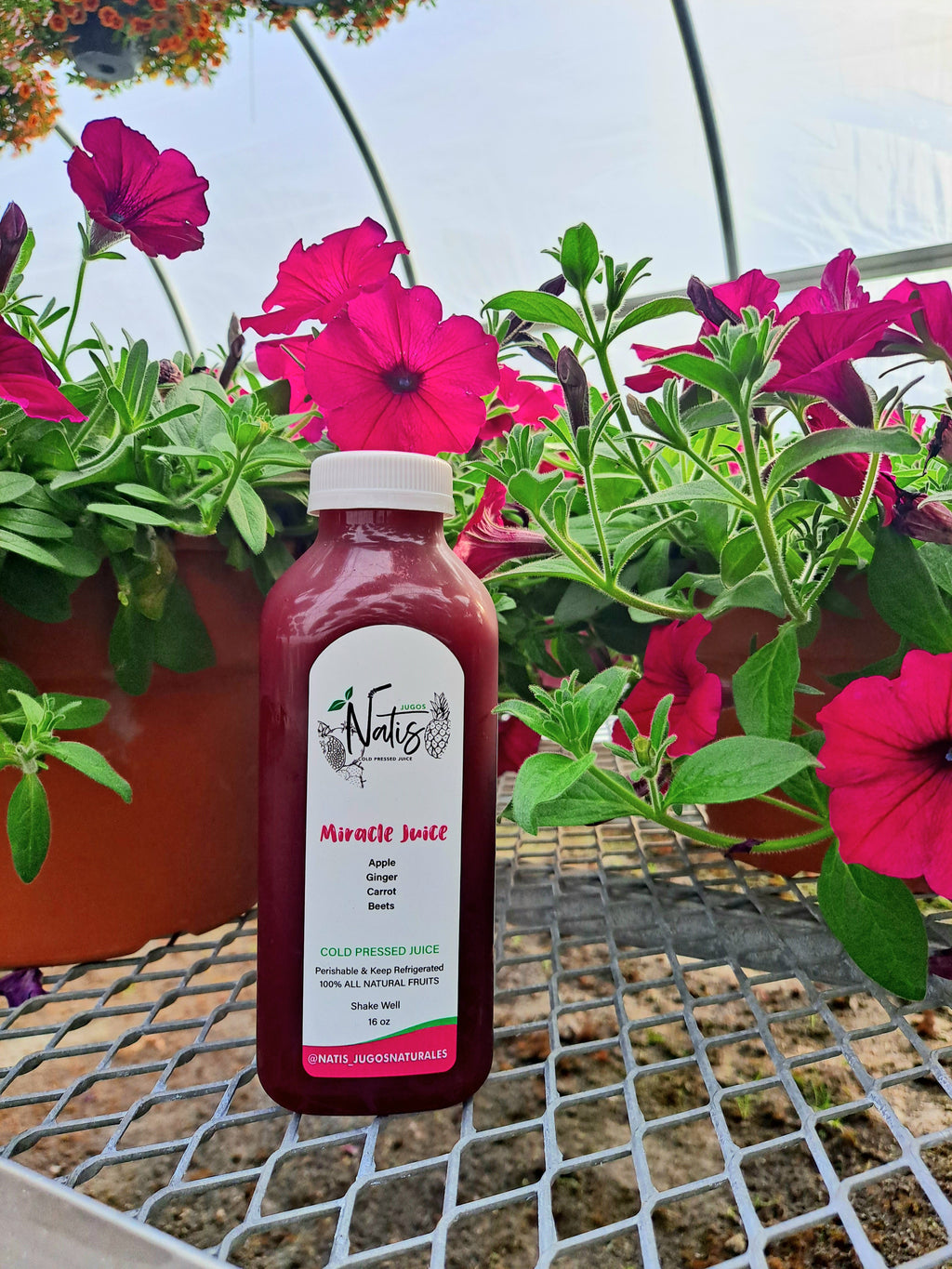 5 Juice Bundle