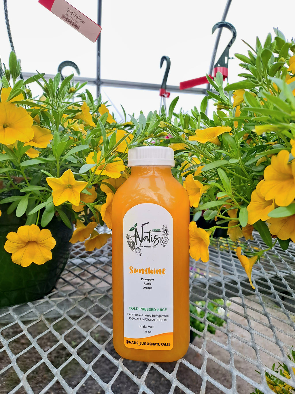 5 Juice Bundle