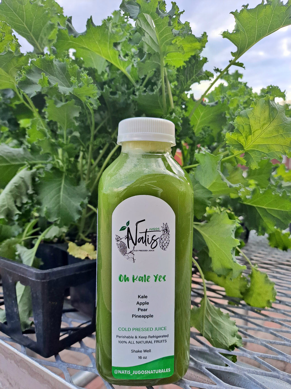 5 Juice Bundle