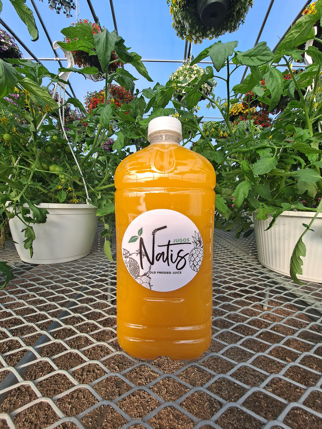 Half Gallon